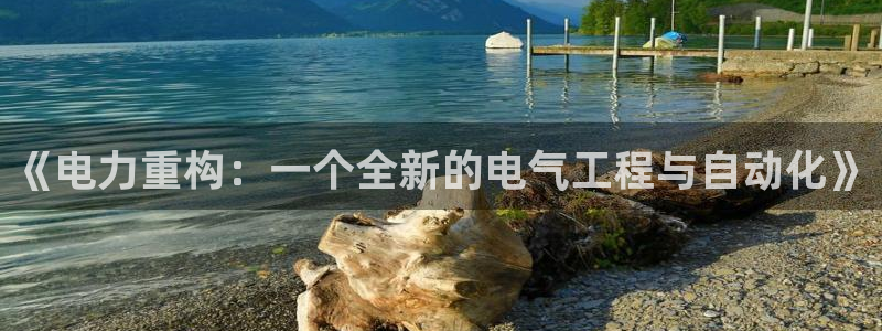 万事娱乐5：《电力重构：一个全新的电气工程与自动化》