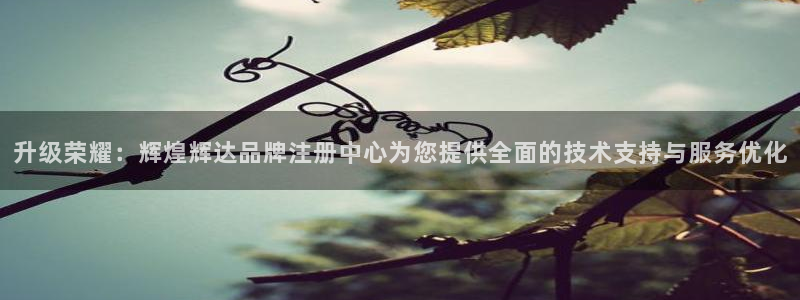 万事娱乐体育eon：升级荣耀：辉煌辉达品牌注册中心为您提供全面的技术支持与服务优