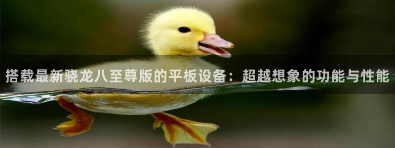 万事娱乐平台在线注册：搭载最新骁龙八至尊版的平板设备：超越想象的功能与性能