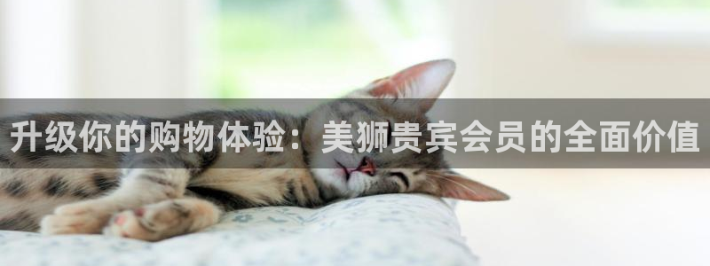 万事娱乐5：升级你的购物体验：美狮贵宾会员的全面价值