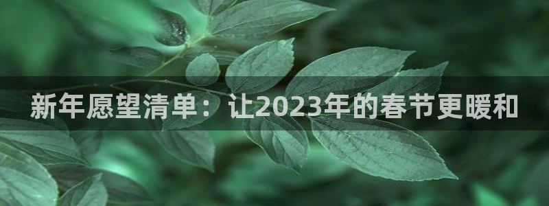 万事娱乐体育f开号：新年愿望清单：让2023年的春节更暖和