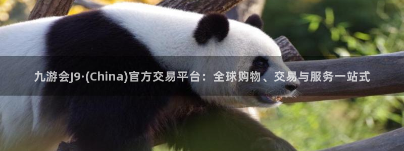 万事娱乐平台官网：九游会J9·(China)官方交易平台：全球购物、交易与服务一