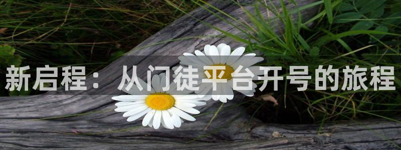 万事娱乐3官网：新启程：从门徒平台开号的旅程