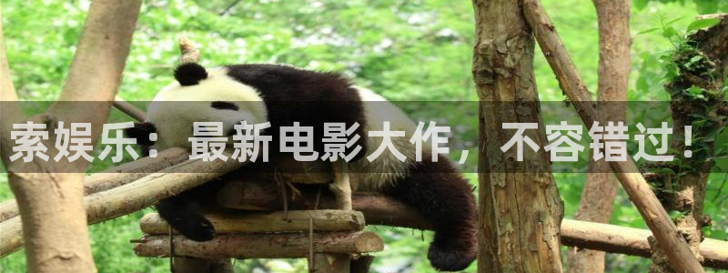 成都万事娱乐电子有限公司：索娱乐：最新电影大作，不容错过！