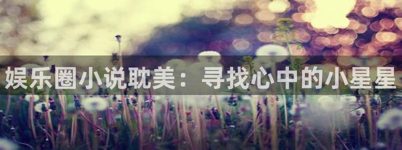 www.万事娱乐体育.com：娱乐圈小说耽美：寻找心中的小星星