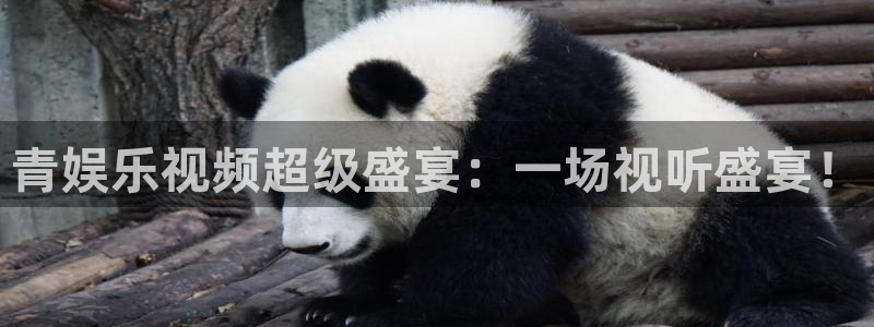 万事娱乐3平台注册：青娱乐视频超级盛宴：一场视听盛宴！