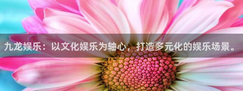 万事娱乐主管：九龙娱乐：以文化娱乐为轴心，打造多元化的娱乐场景。