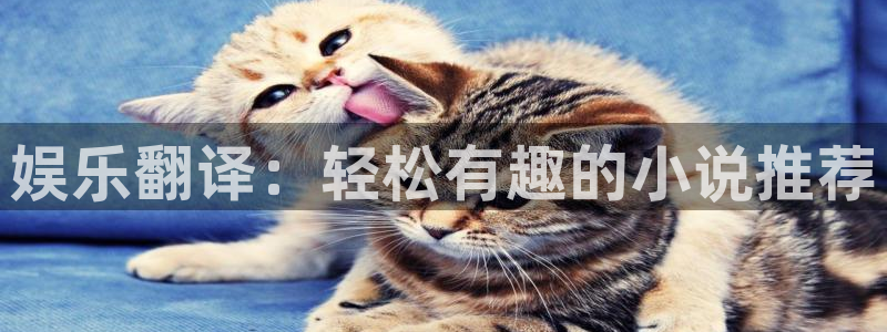 万事娱乐登录注册：娱乐翻译：轻松有趣的小说推荐