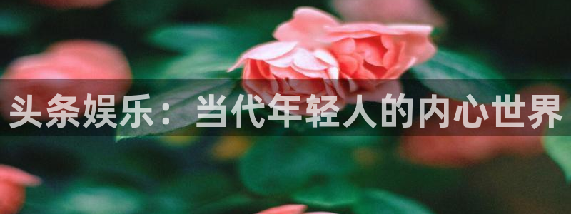 万事娱乐体育2官网入口：头条娱乐：当代年轻人的内心世界