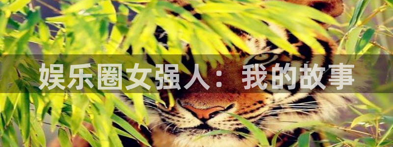 万事娱乐体育凯捷登陆：娱乐圈女强人：我的故事