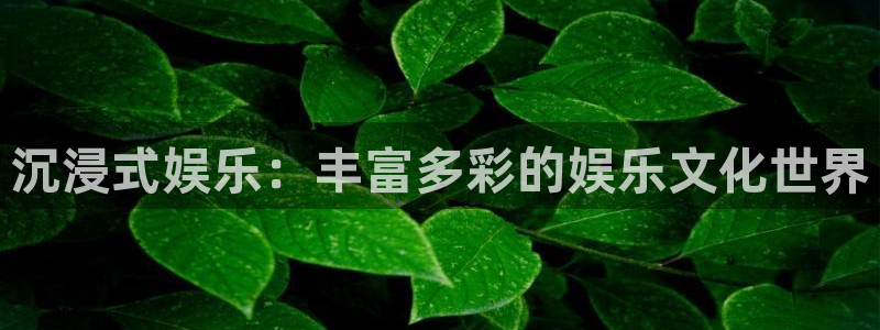 万事娱乐体育1招商：沉浸式娱乐：丰富多彩的娱乐文化世界