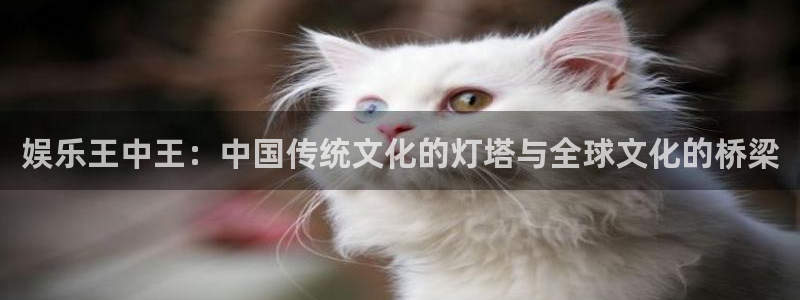万事娱乐平台开户链接：娱乐王中王：中国传统文化的灯塔与全球文化的桥梁