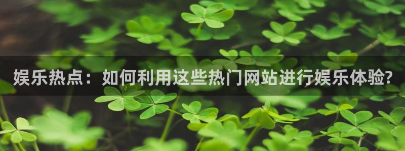 万事娱乐3官网：娱乐热点：如何利用这些热门网站进行娱乐体验?