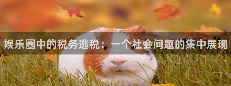 万事娱乐平台注册入口：娱乐圈中的税务逃税：一个社会问题的集中展现