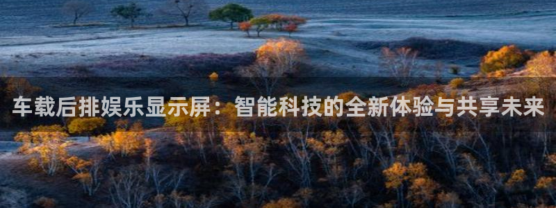 万事娱乐体育注册登录入口：车载后排娱乐显示屏：智能科技的全新体验与共享未来