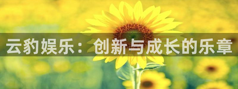 万事娱乐体育老板是谁：云豹娱乐：创新与成长的乐章